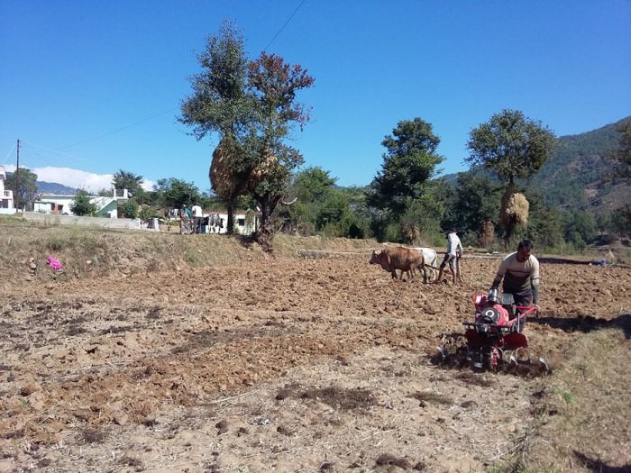 Farming in Uttarakhand