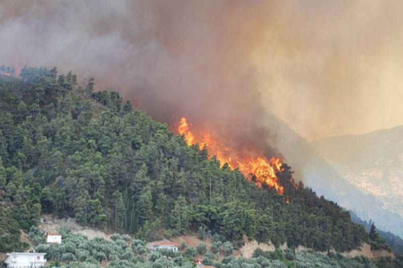 Forest Fire in Uttarakhand