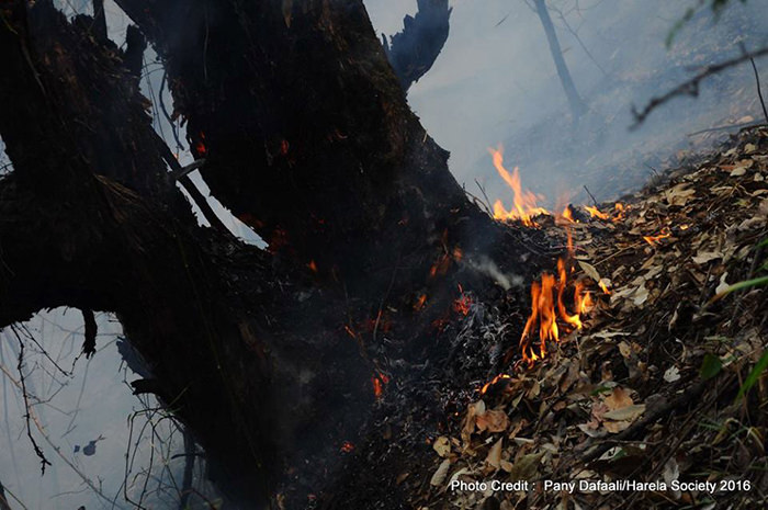 Uttarakhand Forest Fire