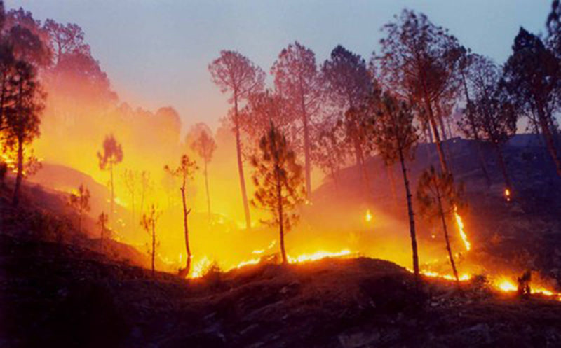 Forest Fire in Uttarakhand