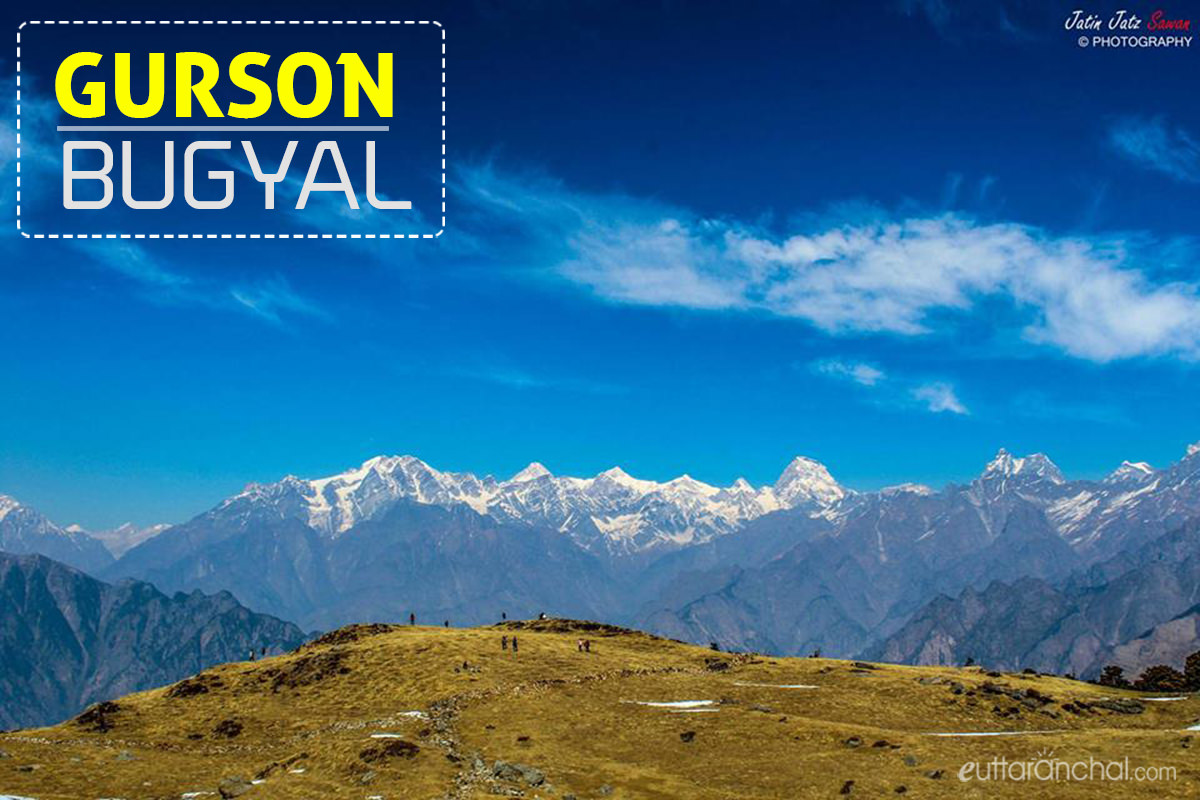 Gurson Bugyal Auli