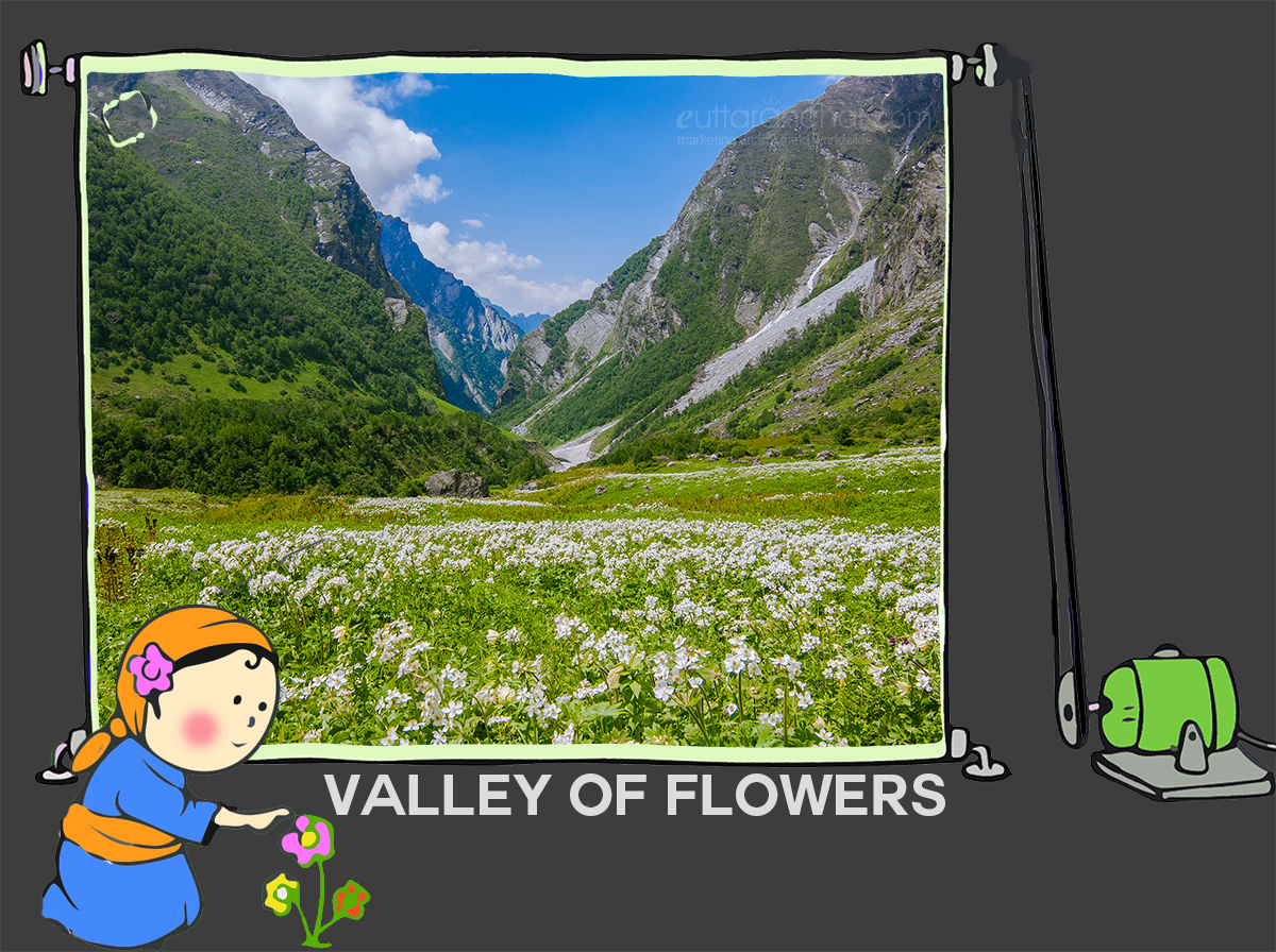VAlley of flowers