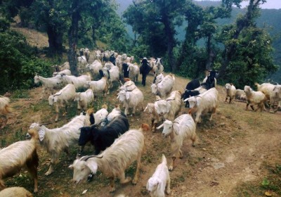 Green People – Agro Tourism in Uttarakhand