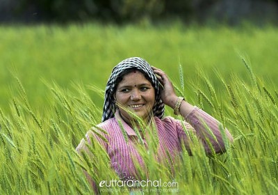 Bio-villages of Uttarakhand Emerging as Pioneer in Organic Farming