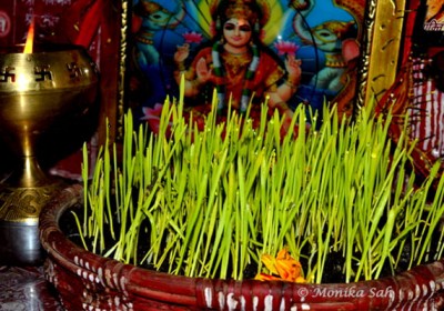 Harela: An eco-friendly festival of Kumaon