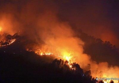 Forests are burning, animal & plant life are being charred is it another epidemic in Uttarakhand?