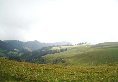 An impregnable journey to Dayara Bugyal