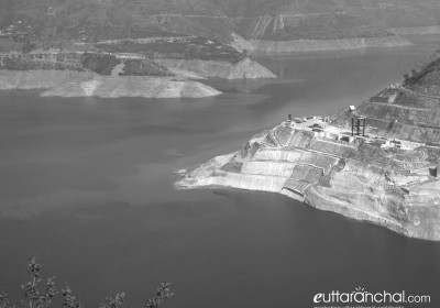 Damn the Dams!
