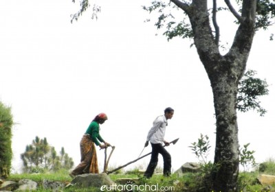 Organic Farming In Uttarakhand Himalayas: Explained