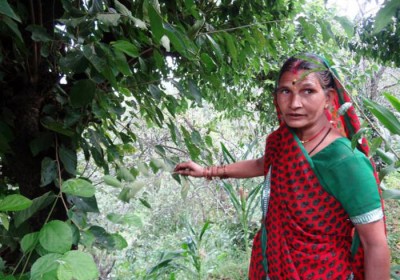 Sudha Gunwant: A Farmer and Environment Emancipator