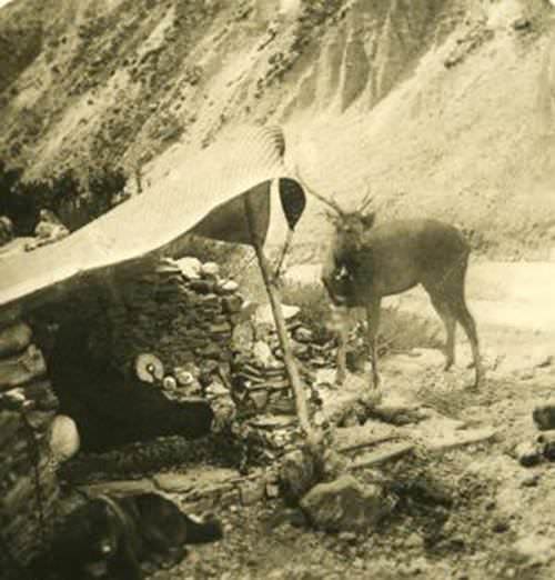 Rare Pictures of Kumaon and Garhwal Himalayas