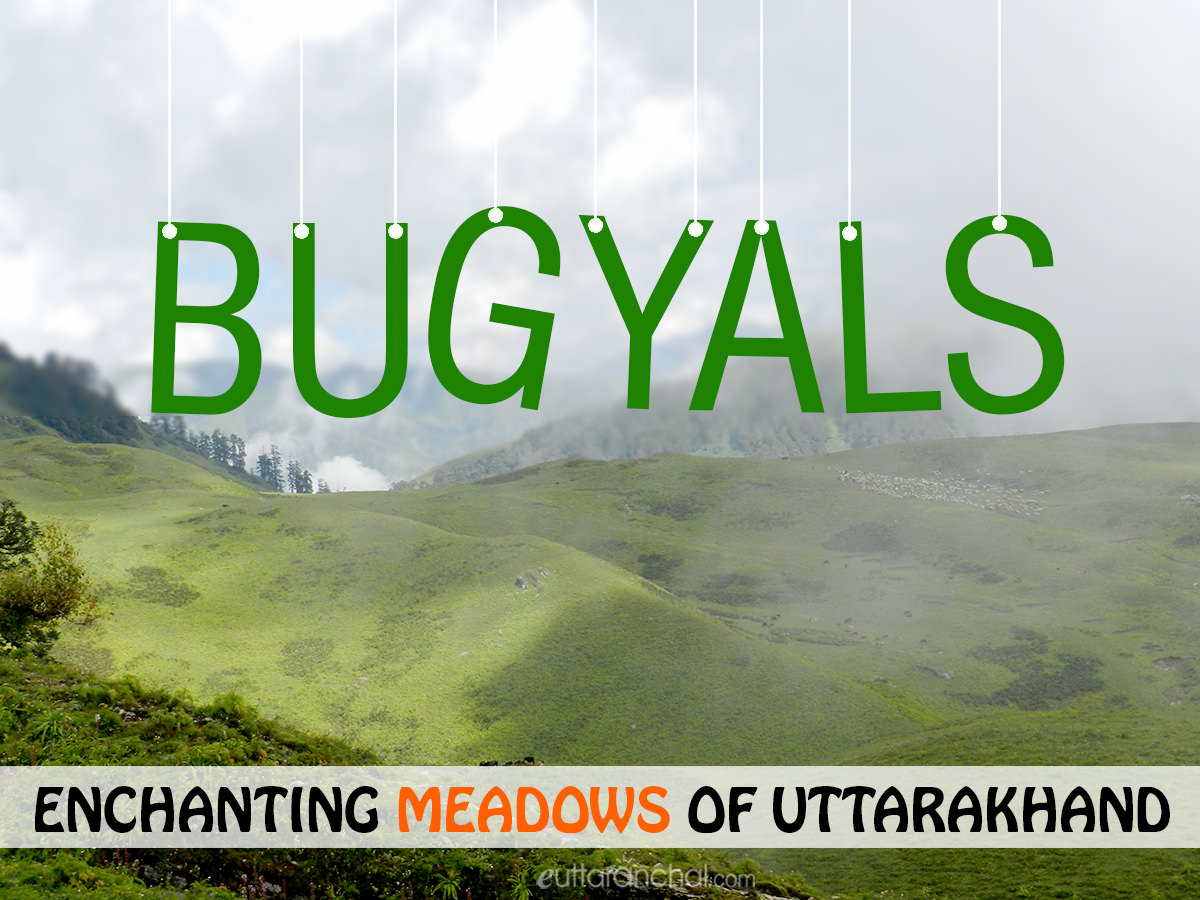 Bugyals - The Enchanting Meadows of Uttarakhand
